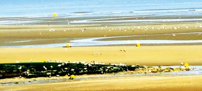 Normandy yên bình
