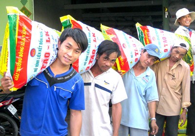 Farmers carry their harvested rice in Tra Vinh Province (Photo: SGGP) Farmers carry their harvested rice in Tra Vinh Province (Photo: SGGP)