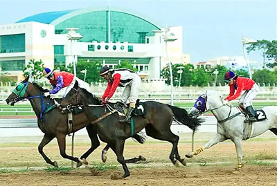 Khu Liên hợp thể thao Rạch Chiếc 12 năm trên giấy - Lỗi của ngành thể thao