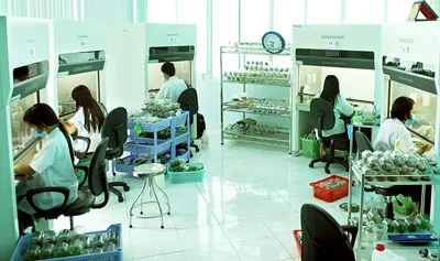 Nông nghiệp công nghệ cao