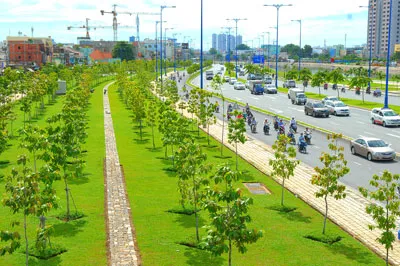 Phát triển mảng xanh đô thị thích ứng biến đổi khí hậu