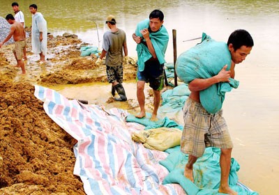 Residents fortify a reservoir in Huong Khe District of Ha Tinh Province (Photo: SGGP) Residents fortify a reservoir in Huong Khe District of Ha Tinh Province (Photo: SGGP)