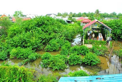 A corner of Quoc Viet Company's farm A corner of Quoc Viet Company's farm
