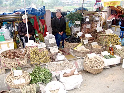Herb collectors in border crossings (Photo: SGGP) Herb collectors in border crossings (Photo: SGGP)