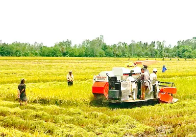Đồng bằng sông Cửu Long: Đổi thay từ cơ giới hóa