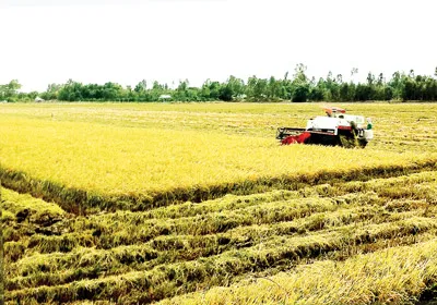 Cơ giới hóa trong nông nghiệp đang ngày được quan tâm đầu tư Cơ giới hóa trong nông nghiệp đang ngày được quan tâm đầu tư