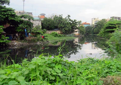 Sống chung với ao tù, nước đọng