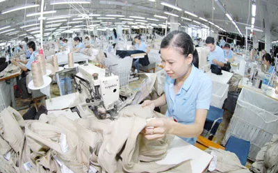 Quốc hội thảo luận dự án Luật Quản lý thuế (sửa đổi): Đừng vì thiểu số làm khó số đông