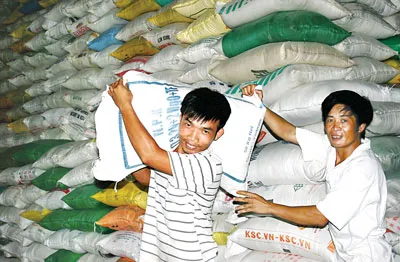 Công nhân Công ty Gạo Việt sắp xếp gạo chuẩn bị xuất khẩu. Ảnh: T.M.T Công nhân Công ty Gạo Việt sắp xếp gạo chuẩn bị xuất khẩu. Ảnh: T.M.T