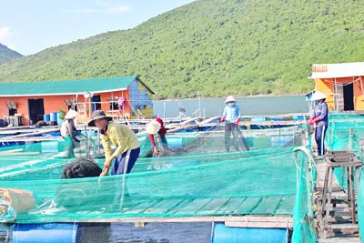 Việt Nam đã, đang và sẽ tiếp tục là một thành viên có trách nhiệm của công ước