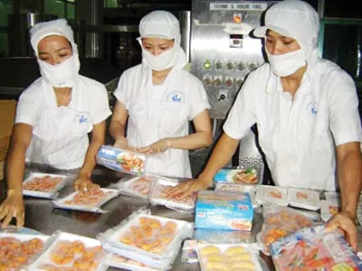Người biến cá vụn thành vàng ảnh 2 Người biến cá vụn thành vàng ảnh 2