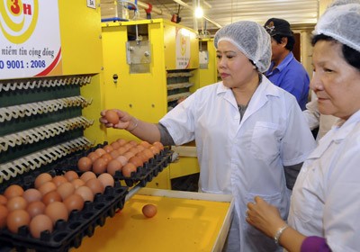 Nguyen Thi Hong, deputy chairwoman of the HCMC People’s Committee (L), examines supply of subsidized chicken eggs at Ba Huan Company (Photo: SGGP) Nguyen Thi Hong, deputy chairwoman of the HCMC People’s Committee (L), examines supply of subsidized chicken eggs at Ba Huan Company (Photo: SGGP)