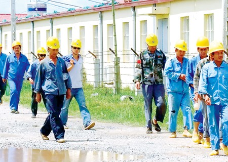 Illegal Chinese workers at Ninh Binh Nitrogen Fertilizer Plant (File photo: SGGP) Illegal Chinese workers at Ninh Binh Nitrogen Fertilizer Plant (File photo: SGGP)