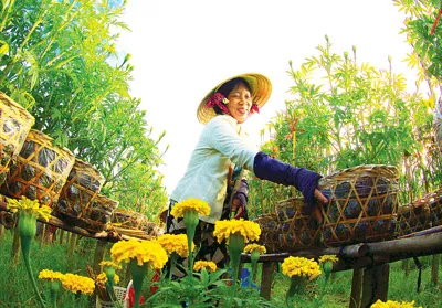 Nông dân nhộn nhịp đón tết