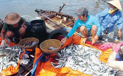 Fishermen will receive financial assistance to operate further out to sea in Quang Ngai Province (Photo: SGGP) Fishermen will receive financial assistance to operate further out to sea in Quang Ngai Province (Photo: SGGP)