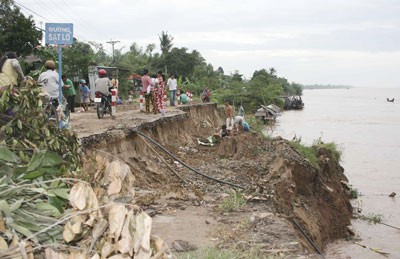 Experts forecast worsen landslide in the Mekong Delta (Photo: SGGP) Experts forecast worsen landslide in the Mekong Delta (Photo: SGGP)