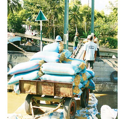 Farmers work hard to harvest a good crop (Photo: SGGP) Farmers work hard to harvest a good crop (Photo: SGGP)