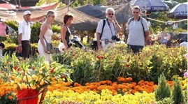 Foreign tourists in VN Foreign tourists in VN