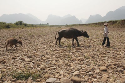 Vuc Cheo River has been depleted in Xuan Trach and Phuc Trach Communes, Bo Trach District in Quang Binh Province (Photo: SGGP) Vuc Cheo River has been depleted in Xuan Trach and Phuc Trach Communes, Bo Trach District in Quang Binh Province (Photo: SGGP)