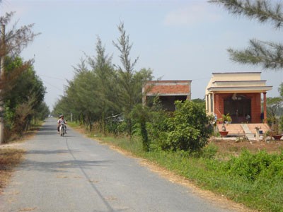 Many roads in Tan Nhut commune are asphalted thanks to the new improved rural program Many roads in Tan Nhut commune are asphalted thanks to the new improved rural program