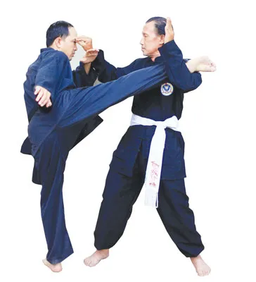 Xà sát mục