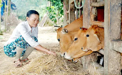 Làm hộ nghèo “sướng” hơn (!)