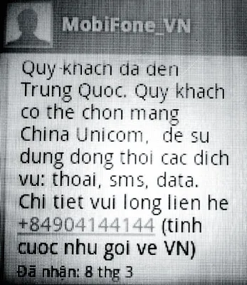 Tôi đang đứng trên đất nước tôi, Việt Nam