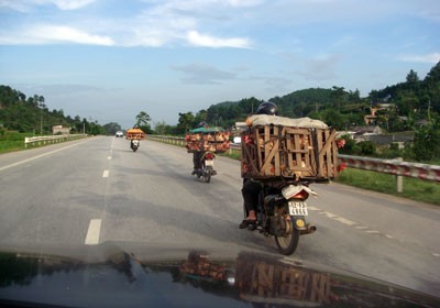 Vietnam tries to crack down on smuggling of poultry and sales of unsafe poultry products in border crossing (Photo: SGGP) Vietnam tries to crack down on smuggling of poultry and sales of unsafe poultry products in border crossing (Photo: SGGP)