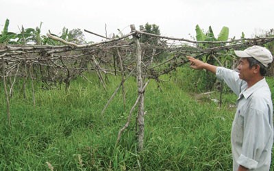 The delayed Sports Center project has greatly inconvenienced local residents in Binh Thuy District of Can Tho City (Photo: SGGP) The delayed Sports Center project has greatly inconvenienced local residents in Binh Thuy District of Can Tho City (Photo: SGGP)