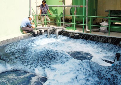 Wastewater being discharged from a textile and dyeing unit in HCMC (Photo: SGGP) Wastewater being discharged from a textile and dyeing unit in HCMC (Photo: SGGP)