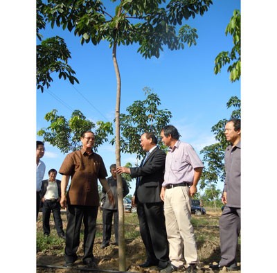 Leaders of Vietnam and Lao visit HAG’s rubber plantation (Photo: SGGP) Leaders of Vietnam and Lao visit HAG’s rubber plantation (Photo: SGGP)