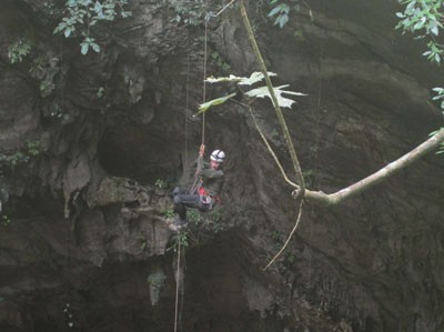 Scientists explore ten new vertical caves in Phong Nha-Ke Bang National Park Scientists explore ten new vertical caves in Phong Nha-Ke Bang National Park