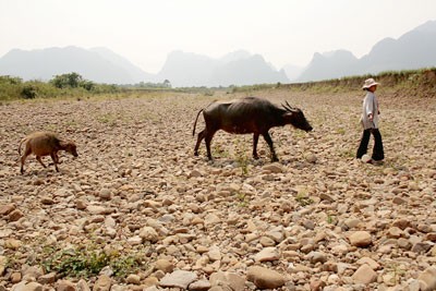 The parched Vuc Cheo River bed in Bo Trach District in Quang Binh Province (Photo: SGGP) The parched Vuc Cheo River bed in Bo Trach District in Quang Binh Province (Photo: SGGP)