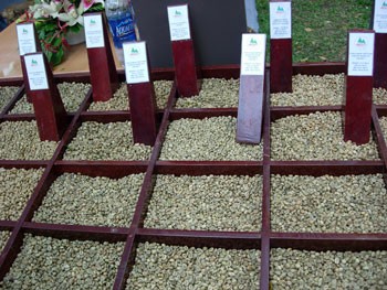 Agricultural products including rice, coffee and rubber are estimated to reach over $5.48 billion. (Photo:KK) Agricultural products including rice, coffee and rubber are estimated to reach over $5.48 billion. (Photo:KK)