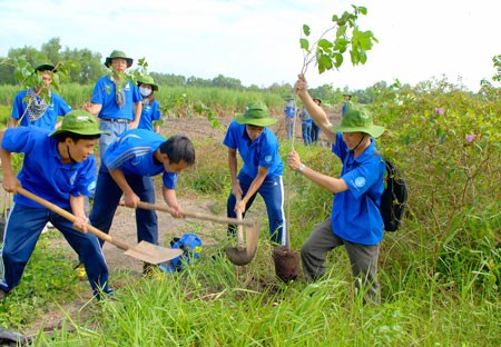 Planting tree can reduce the effect of climate change. (Photo: sggp) Planting tree can reduce the effect of climate change. (Photo: sggp)