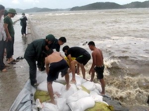 People fortify a dyke section which was hit by high waves from Storm ‘Bebinca’ in the northern region (Photo: VNA) People fortify a dyke section which was hit by high waves from Storm ‘Bebinca’ in the northern region (Photo: VNA)