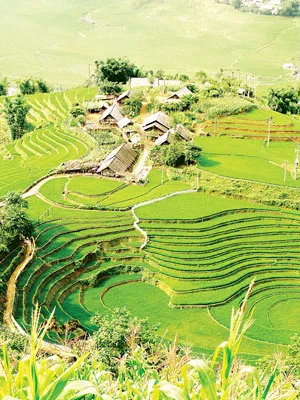 Cảnh sắc thiên nhiên Tây Bắc. Cảnh sắc thiên nhiên Tây Bắc.