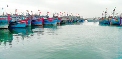 Fishing boats anchor on Ly Son Island in the central province of Quang Ngai (Photo: SGGP) Fishing boats anchor on Ly Son Island in the central province of Quang Ngai (Photo: SGGP)