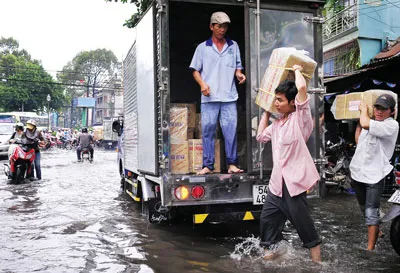 Cử tri kiến nghị HĐND TPHCM: Giải quyết tình trạng ngập nước, quy hoạch treo