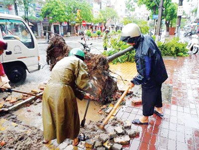 (Photo:SGGP) (Photo:SGGP)