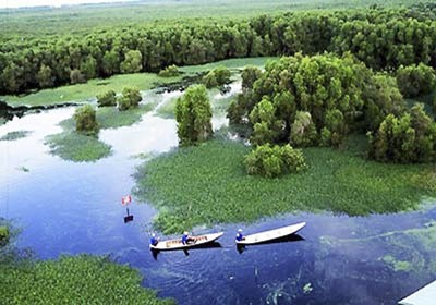View of U Minh Thuong National Park(Photo: SGGP) View of U Minh Thuong National Park(Photo: SGGP)