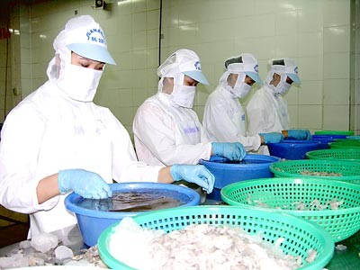 Shrimp exports see robust growth. (Photo: SGGP) Shrimp exports see robust growth. (Photo: SGGP)