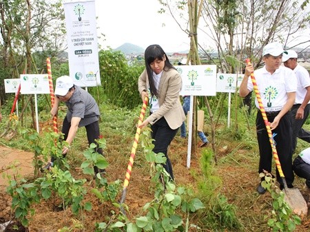 A total of 2,700 trees will be planted at the Da Lat University campus in Lam Dong Province during the programme A total of 2,700 trees will be planted at the Da Lat University campus in Lam Dong Province during the programme