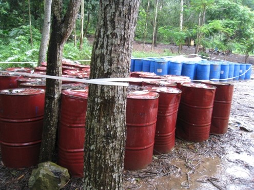 Pesticide drums found in Nicotex Thanh Thai Company's premises ( Photo: VNExpress) Pesticide drums found in Nicotex Thanh Thai Company's premises ( Photo: VNExpress)