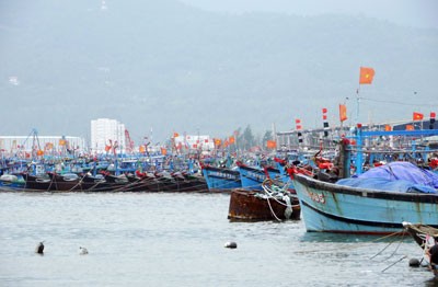 Boats are anchored in Tho Quang shelter in Da Nang City in Central Vietnam to avoid teh upcoming storm ( Photo : SGGP) Boats are anchored in Tho Quang shelter in Da Nang City in Central Vietnam to avoid teh upcoming storm ( Photo : SGGP)