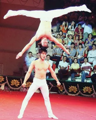 Long đong Đoàn Xiếc TP