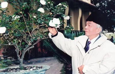 Đại tướng Võ Nguyên Giáp ưa thích ngắm hoa Bạch Trà tại nhà riêng ở số 30 Hoàng Diệu, Hà Nội. Ảnh: Trần Tuấn Đại tướng Võ Nguyên Giáp nghỉ trưa dưới rặng tre ở huyện Củ Chi, TPHCM (năm 1996). Ảnh: Trần Tuấn – TTXVN. Đại tướng Võ Nguyên Giáp thăm Báo SGGP (năm 1996). Ảnh tư liệu. Đại tướng Võ Nguyên Giáp đến thăm gia đình mẹ Việt Nam anh hùng Võ Thị Hồi ở xã Tân Xuân, huyện Hóc Môn, TPHCM (tháng 4-1996). Ảnh: Trần Tuấn – TTXVN. Đại tướng Võ Nguyên Giáp tiếp Tổng thống Cộng hòa Chile Michelle Bachelet nhân dịp bà thăm chính thức Việt Nam và tham dự Hội nghị APEC 14 vào tháng 11-2006. Ảnh tư liệu. Tổng thống Thụy Sĩ Pascal Couchepin đến thăm Đại tướng Võ Nguyên Giáp tại nhà riêng vào tối 4-8-2008. Ảnh tư liệu. Đỗ Hạnh (tổng hợp) Thông tin liên quan Đại tướng Võ Nguyên Giáp đã ra đi