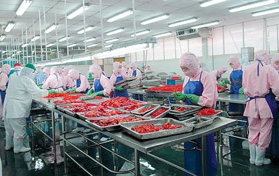 Xí nghiệp Chế biến thực phẩm Việt Nhật: Chất lượng sản phẩm bắt đầu từ nguyên liệu sạch ảnh 2 Xí nghiệp Chế biến thực phẩm Việt Nhật: Chất lượng sản phẩm bắt đầu từ nguyên liệu sạch ảnh 2