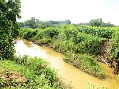 Đằng sau Dự án “Thủ phủ hàng không” Long Thành - Bài 1: Chưa được nghiên cứu đầy đủ
