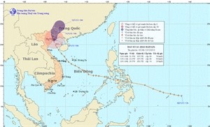 Super-typhoon Haiyan lands in northern Vietnam on early November 11. Super-typhoon Haiyan lands in northern Vietnam on early November 11.